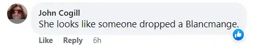 A screenshot of Facebook comments making fun of Jennifer Lopez's beach attire. | Source: facebook.com/DailyMail