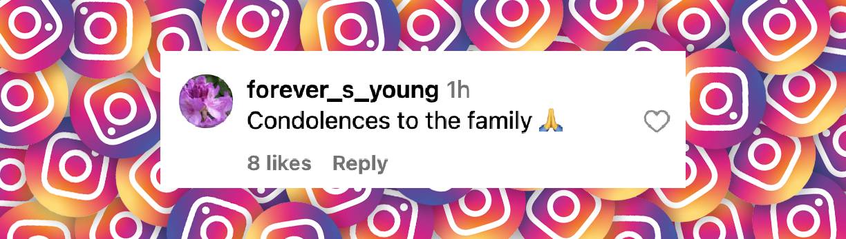 A fan comment dated April 3, 2025 | Source: Instagram/TMZ