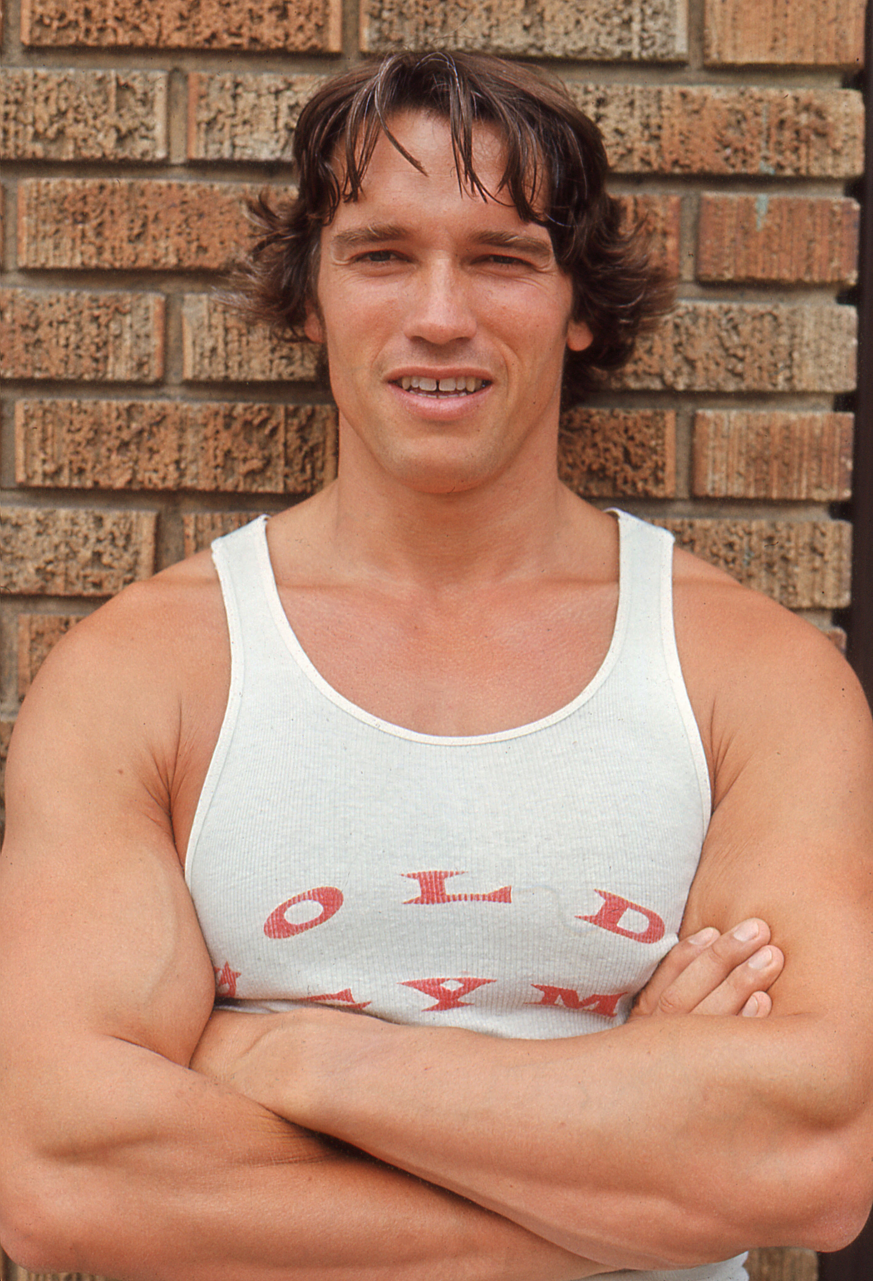 Arnold Schwarzenegger poses against a brick wall in Santa Monica, California in 1977 | Source: Getty Images