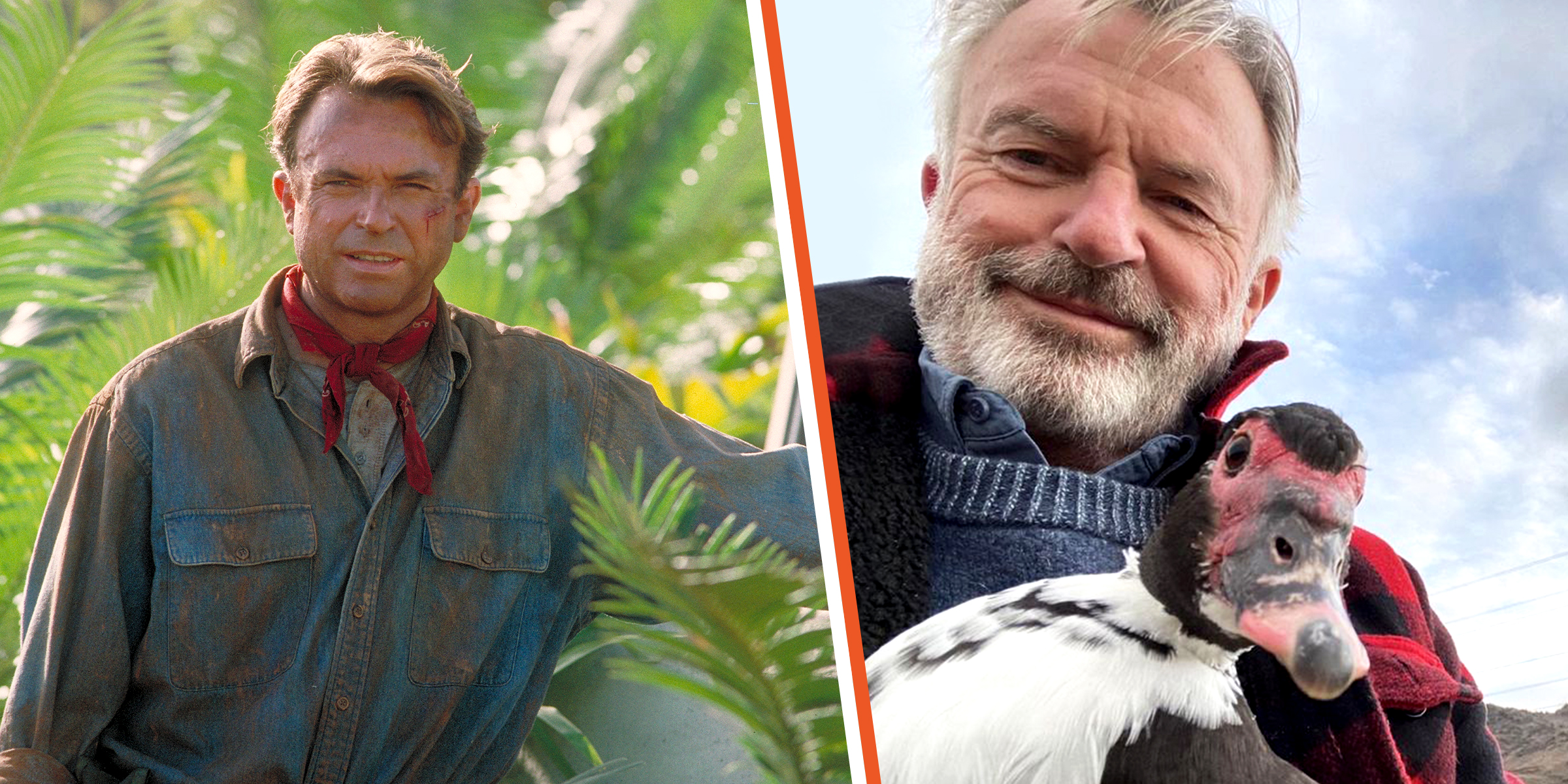 Actor Sam Neill | Source: Getty Images | Instagram.com/samneilltheprop