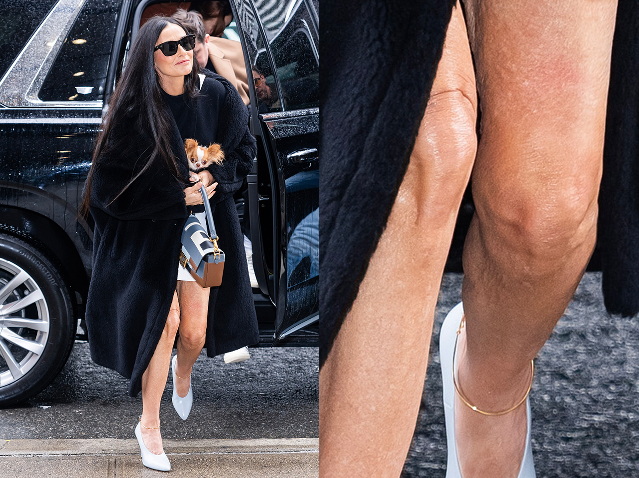 Demi Moore and her dog, Pilaf, on January 23, 2024 in New York City. | Source: Getty Images