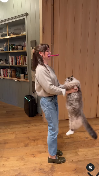 Actress Jennifer Garner filming a spinning scene with her cat moose in her house posted on April 15, 2025 | Source: Instagam/jennifergarner